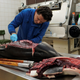 Robert Deaville performing the autopsy.